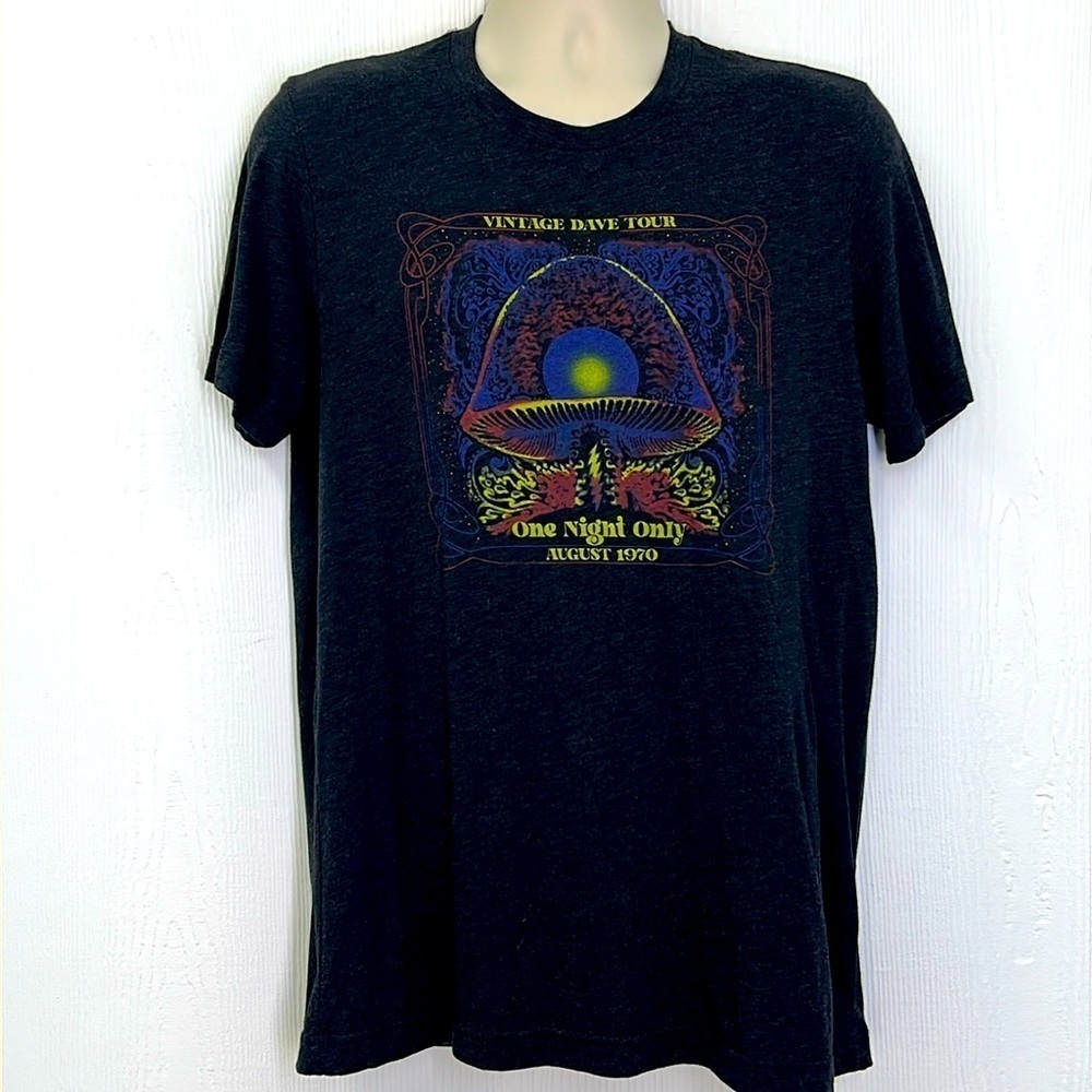 Bella & Canvas - Vintage Dave Tour One Night Only Graphic Dark Gray T Short LG